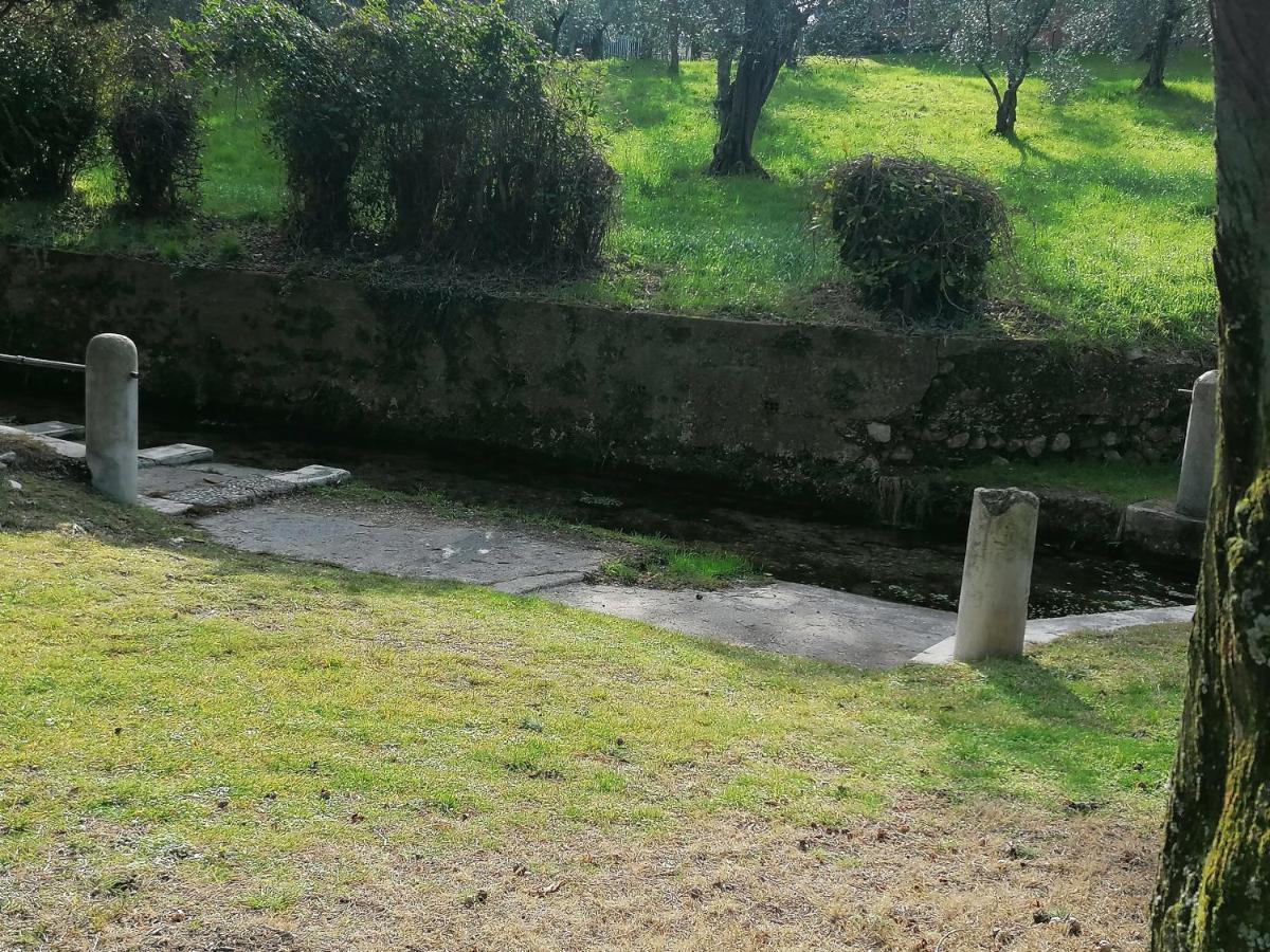 Bilocale Papavero, Magnolia O Girasole San Felice del Benaco Zewnętrze zdjęcie