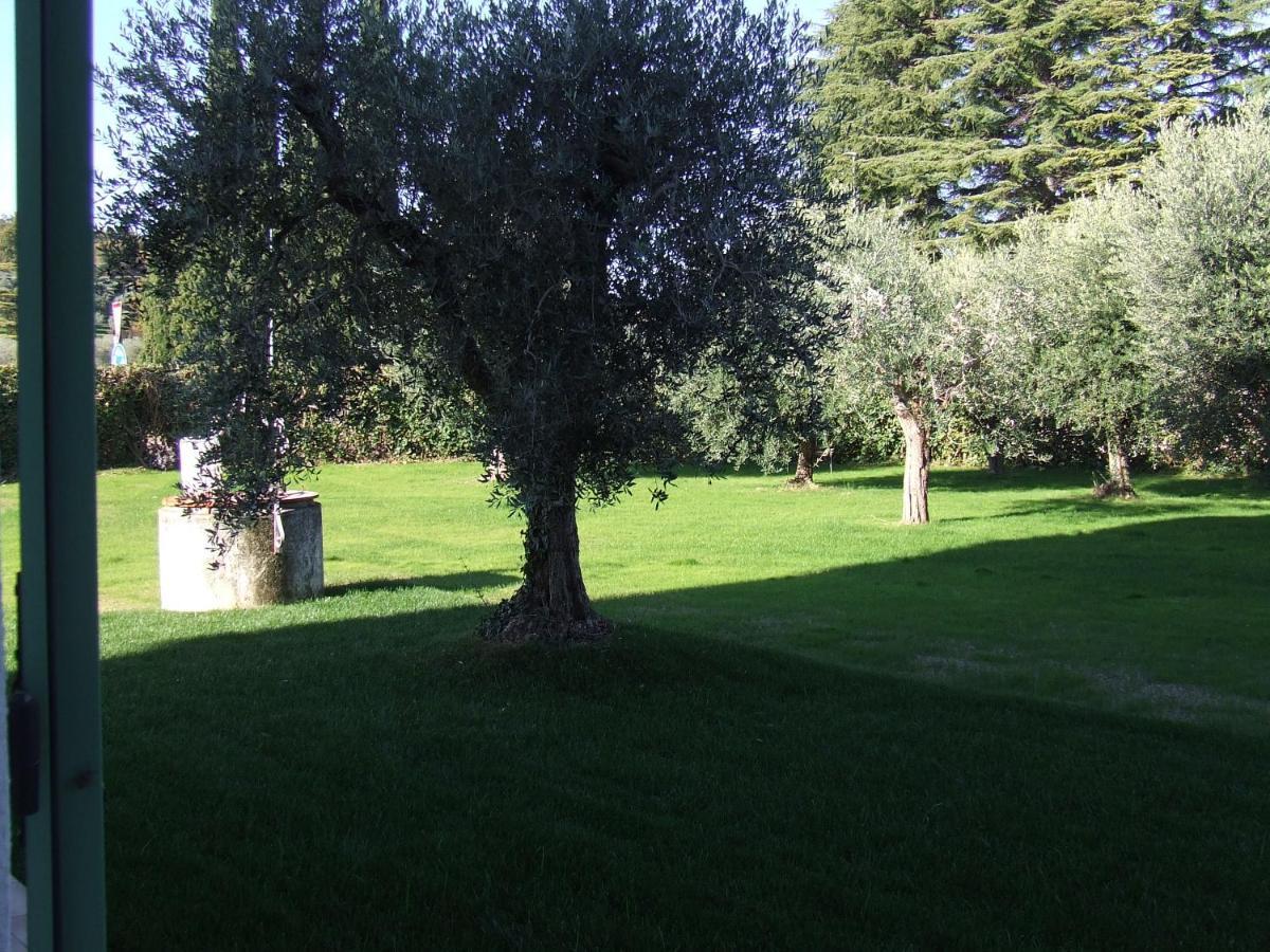 Bilocale Papavero, Magnolia O Girasole San Felice del Benaco Zewnętrze zdjęcie